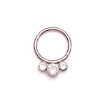 Clicker 10mm 3 brillantini - immagine 4