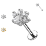 zampetta con cristalli crystal
